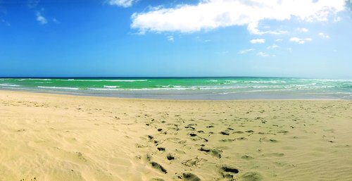 beach  sea  summer