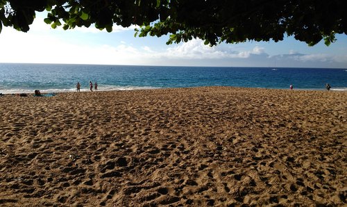 beach  sand  tropical