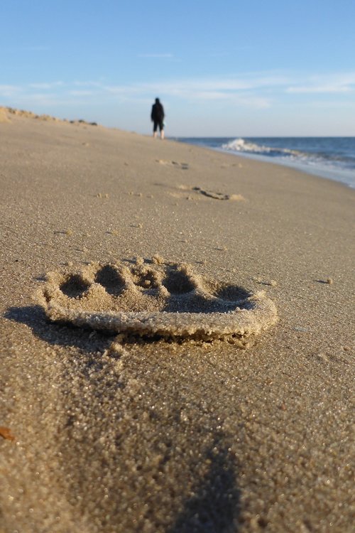 beach  sea  woman