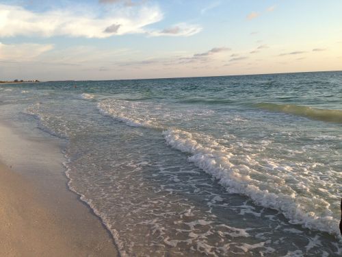 beach shore water