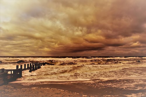 beach  nature  sea