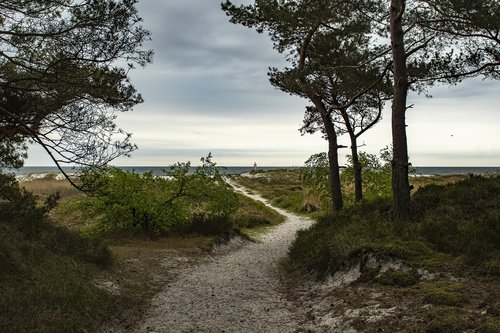 beach  sea  summer