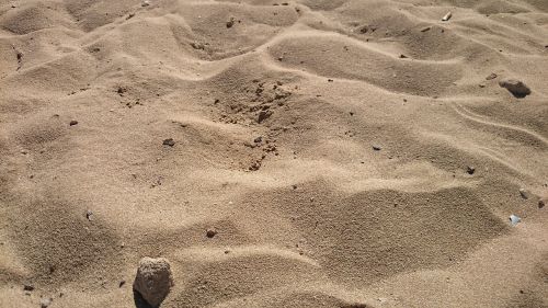 beach sand desert