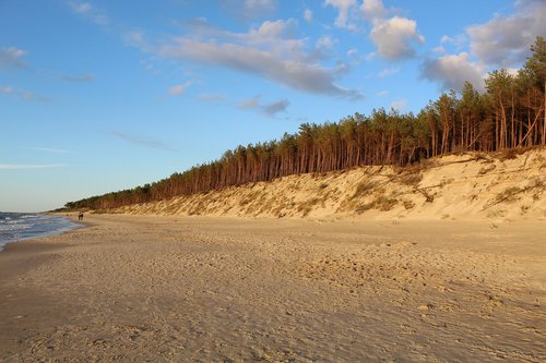 beach  dune  sand