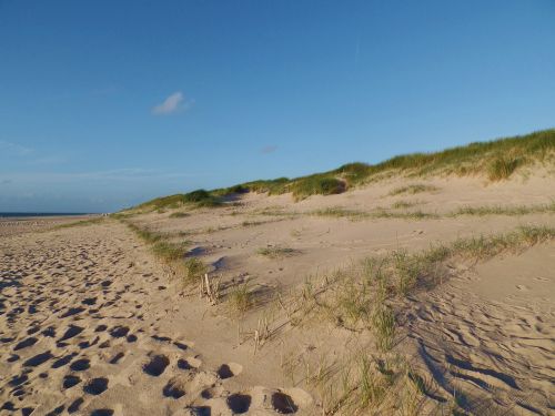 beach north sea sylt