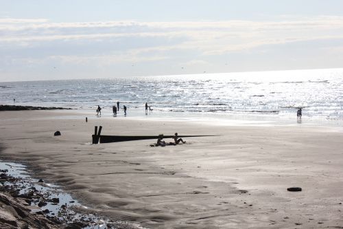 beach sea sand