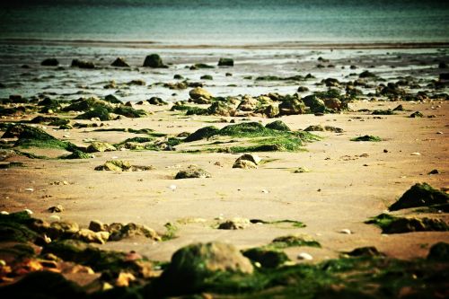 beach rocks sea