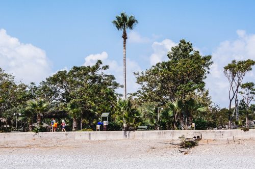beach palma nature