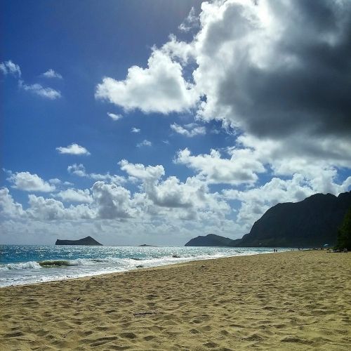 beach ocean nature