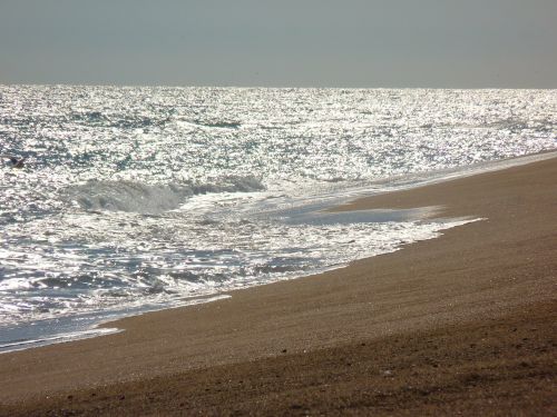 beach sea wave