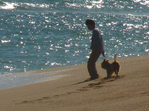 beach sea child