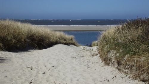 beach sea dunes