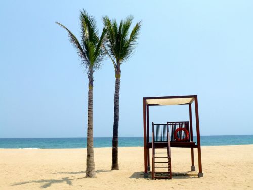 beach holidays palm trees