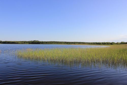 beach lake nature