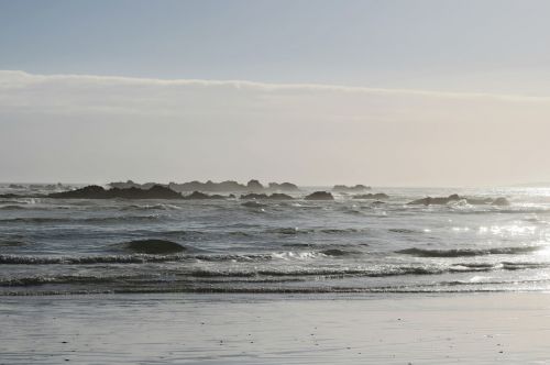 beach sea back light