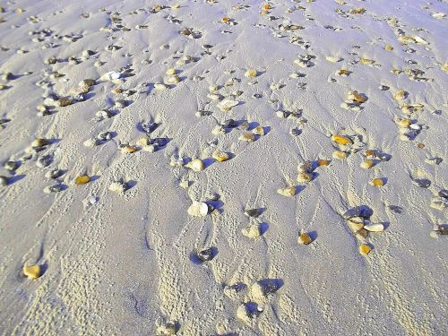 beach stones sand