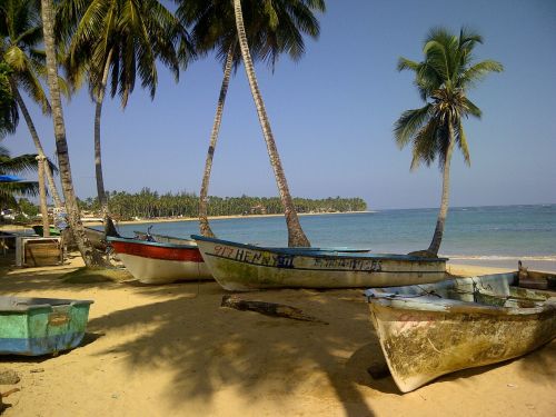 beach island nature