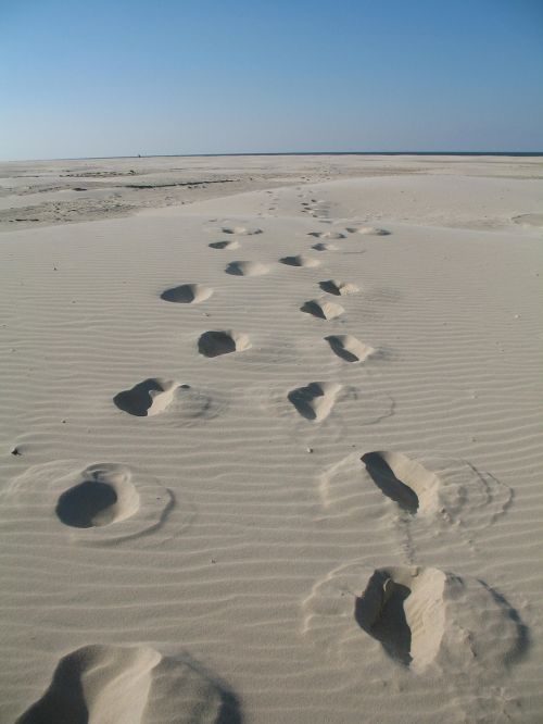 beach tracks in the sand sea