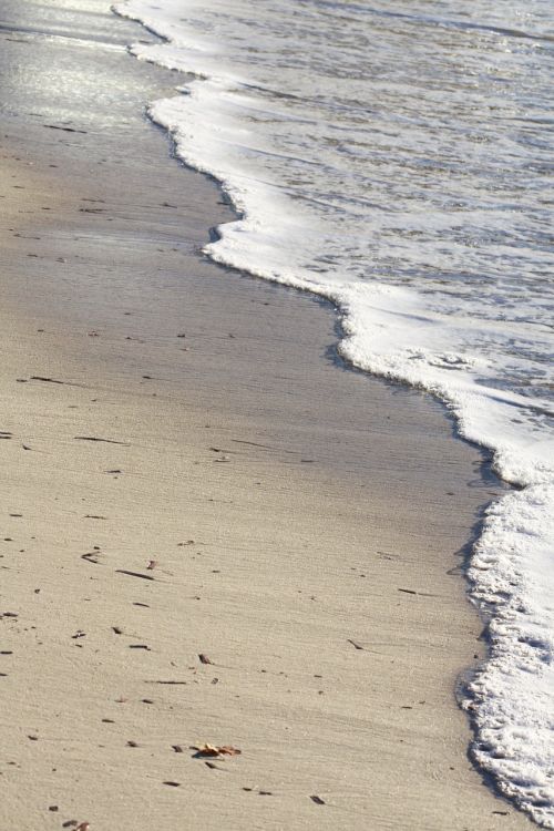 beach sea sand