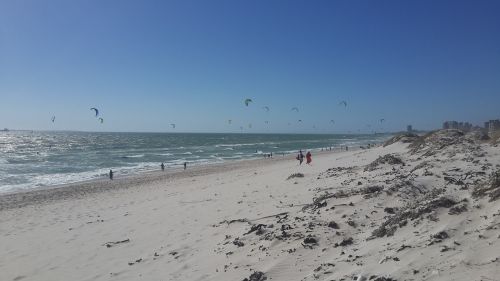 beach ocean kites