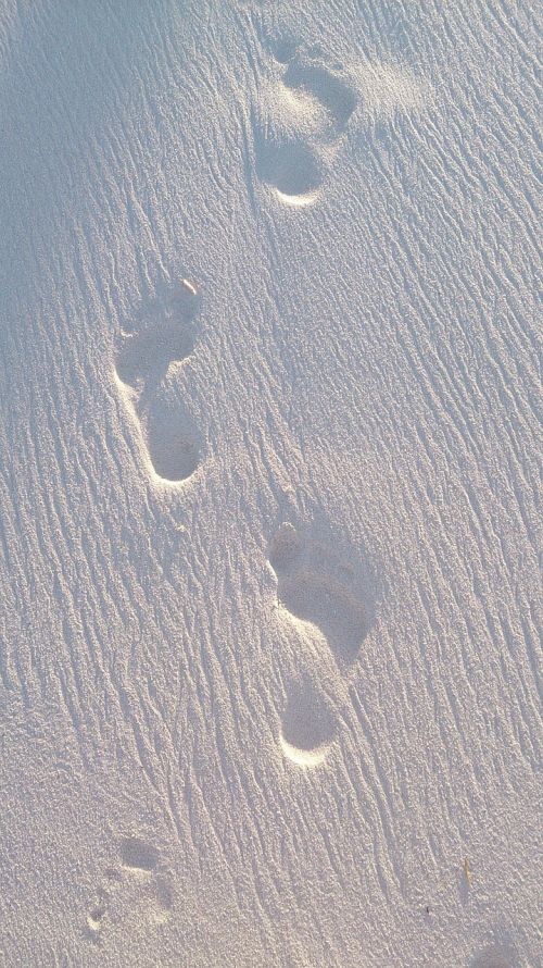 beach footprint sand beach