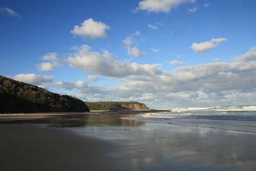 beach coast ocean