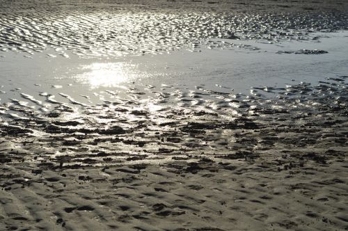 beach sea pier