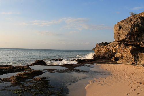 beach bali tropical