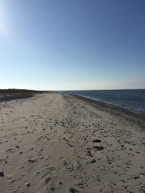 beach sea sand