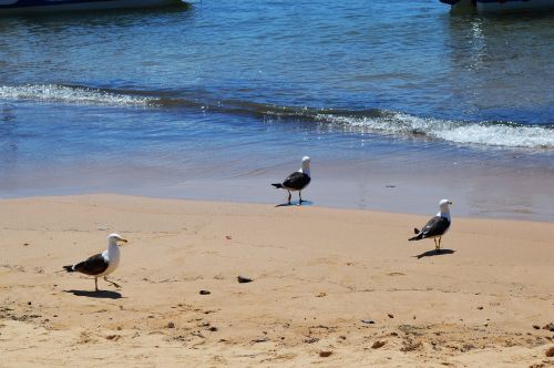 beach mar beira mar