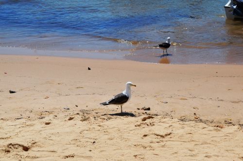 beach mar beira mar