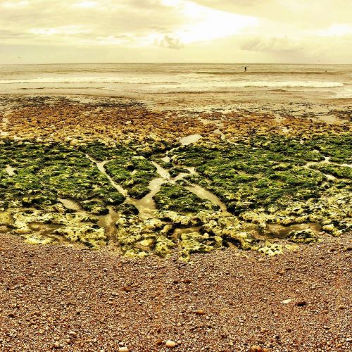 beach stones pebble