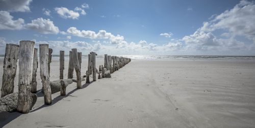 beach sand wood