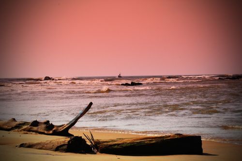 beach log sunset