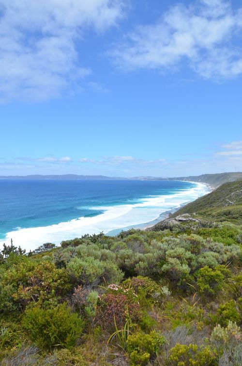 beach australia sea