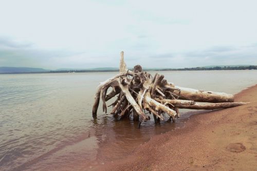 beach lake nature