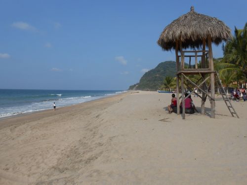 beach sea ocean