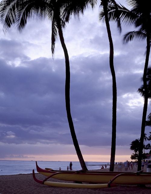 beach catamaran hawaii