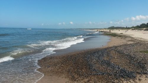 beach sea waves