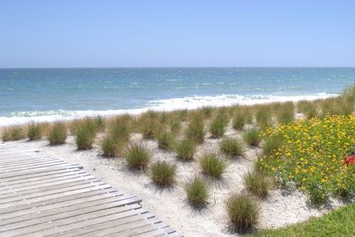 beach florida sunny