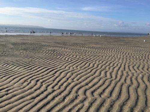 beach landscape nature