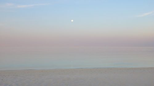 beach sea horizon