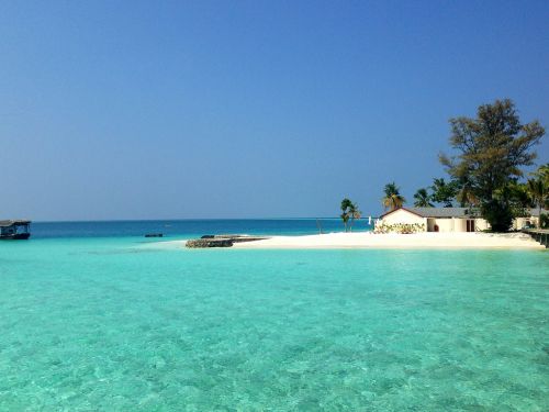 beach maldives sea