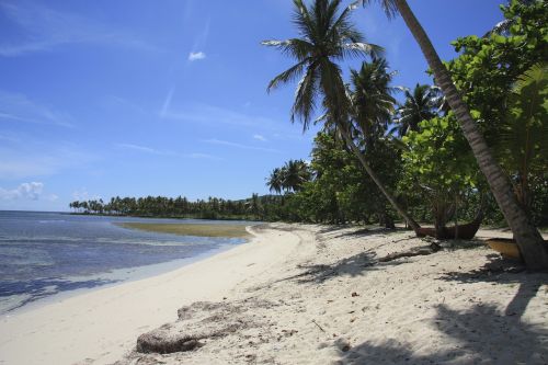 beach caribbean water