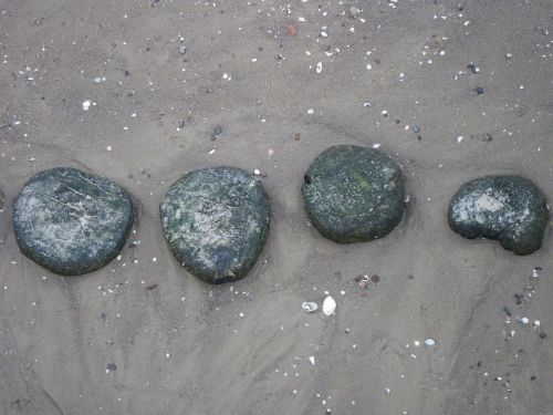 beach stones sand