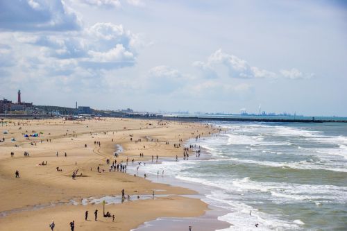 beach sea coast