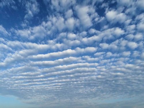 beach nature skies