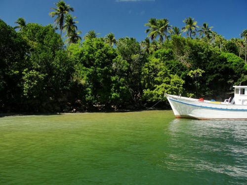 beach paradise sea