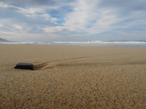 beach sand stone
