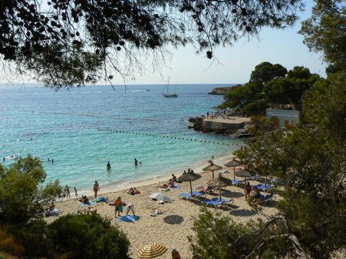 beach mallorca pine